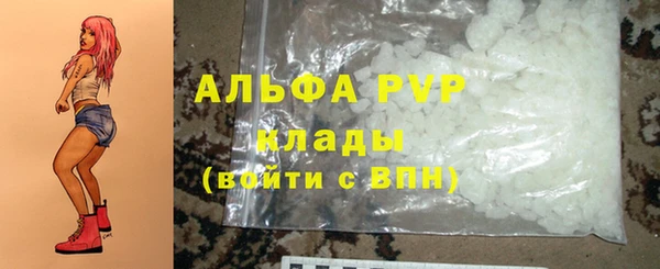 PSILOCYBIN Сосновый Бор
