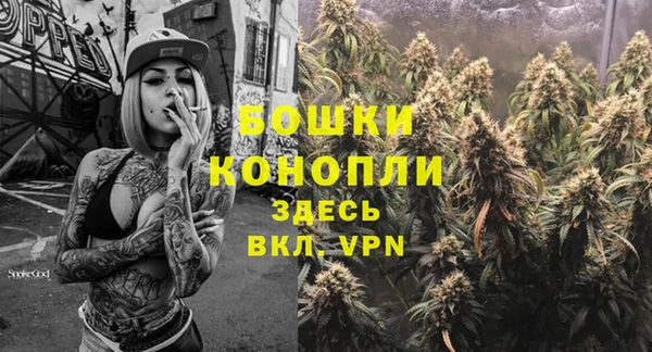 твердый Сосновоборск