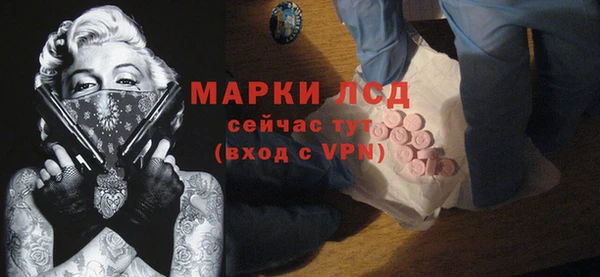 PSILOCYBIN Сосновый Бор