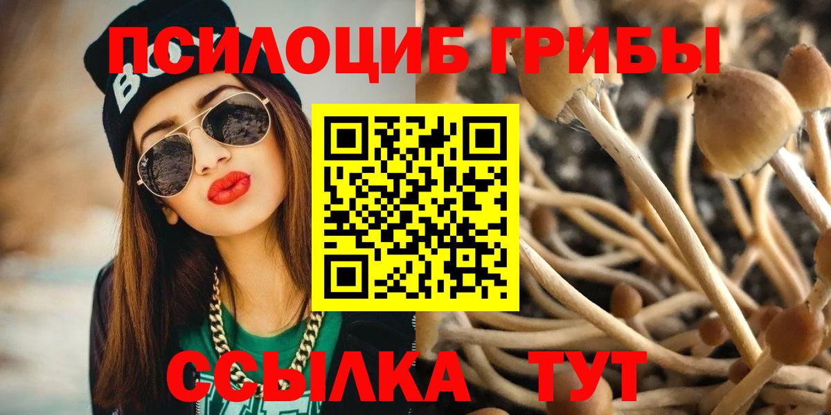 Новочебоксарск  Галлюциногенные грибы Psilocybe  Вход с VPN 